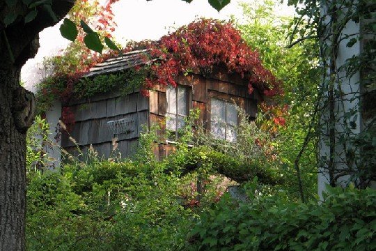 812799-une-cabane-de-jardin-au-dessus-du-garage