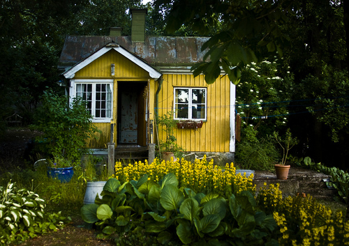 BLUE PUEBLO Danemark