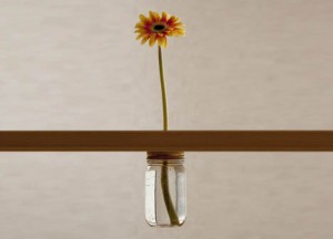 DORNOB  DIY  vase invisible