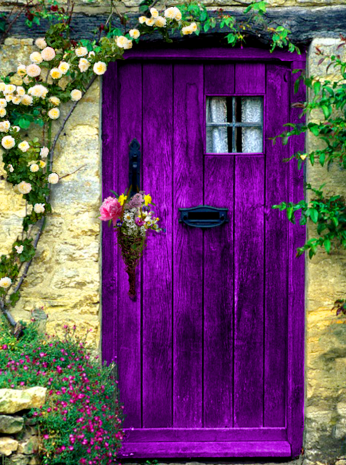 Purple... de l'audace !