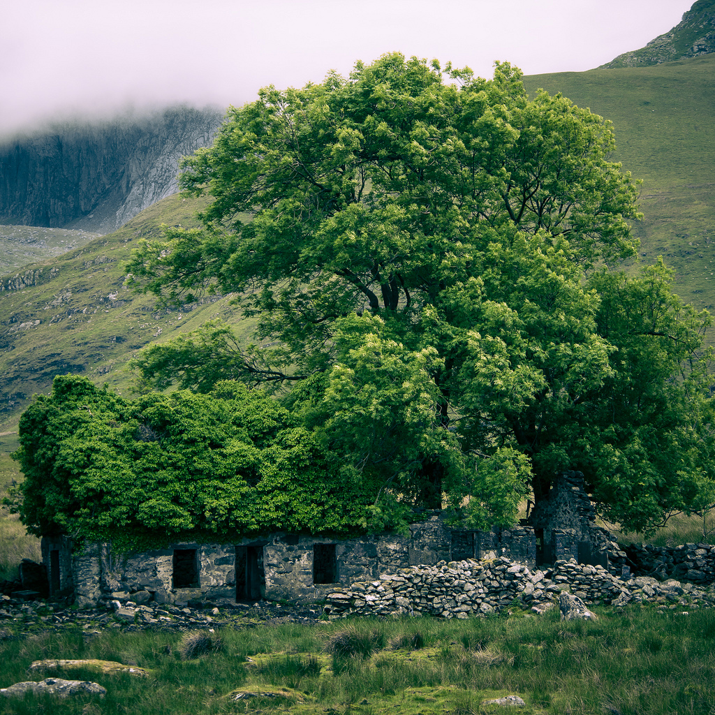 MY SECRET GARDEN ruine avec un toit vert Llanberis AU pAYS DE gALLES