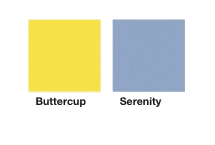 PANTONE-12-0752-Buttercup-02.jpg rogné.gif transparent