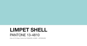 PANTONE-13-4810-Limpet-Shell
