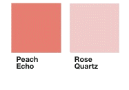 PANTONE-16-1548-Peach-Echo-01.jpg rogné.gif transparent