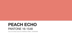 PANTONE-16-1548-Peach-Echo