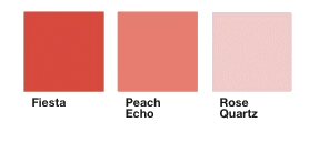 PANTONE-17-1564-Fiesta-01.jpg rogné.gif transparent