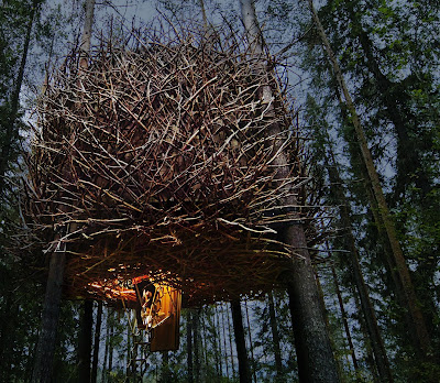 TREE HOTEL le nid 2