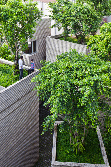 Tree-Topped-Houses-Vietnam-2