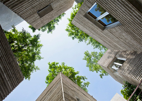 Tree-Topped-Houses-Vietnam-4