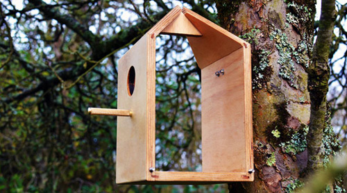 birdhouse-4