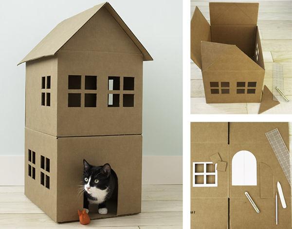 maison pour chats