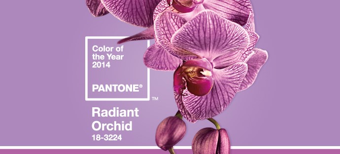 radiant_orchid_HomeSlider_Final (2)