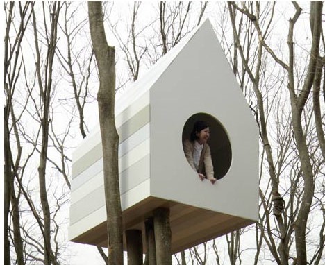treehouse-human-bird-sides (2)